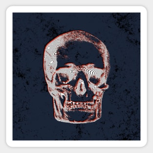 Skull Sticker